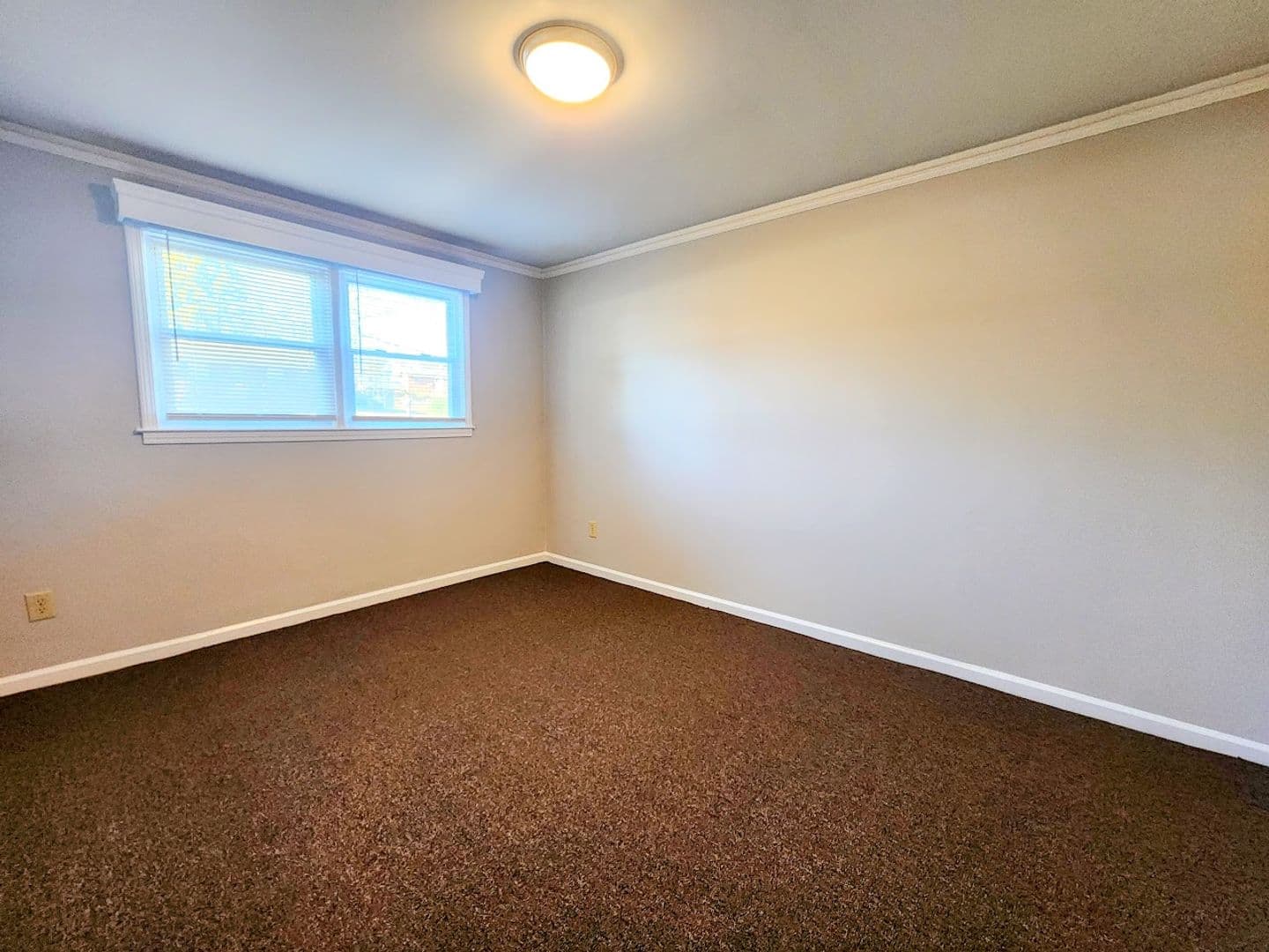 Pelzer Apartment: 6 Hoyt Street