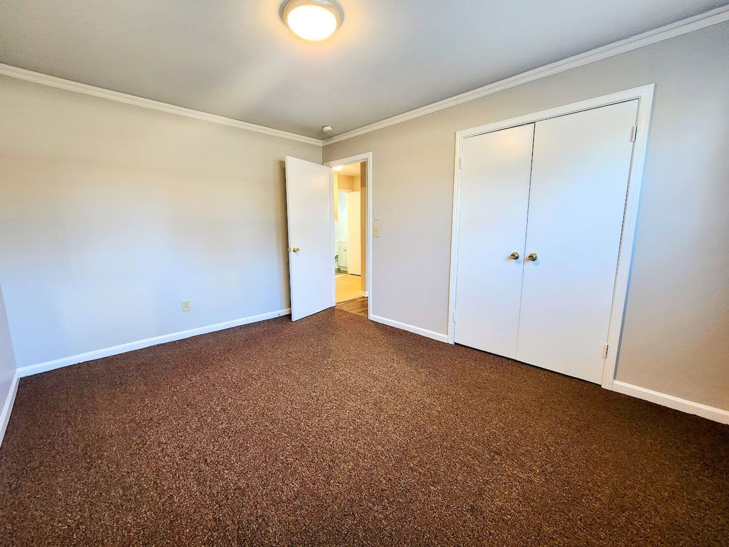 Pelzer Apartment: 6 Hoyt Street