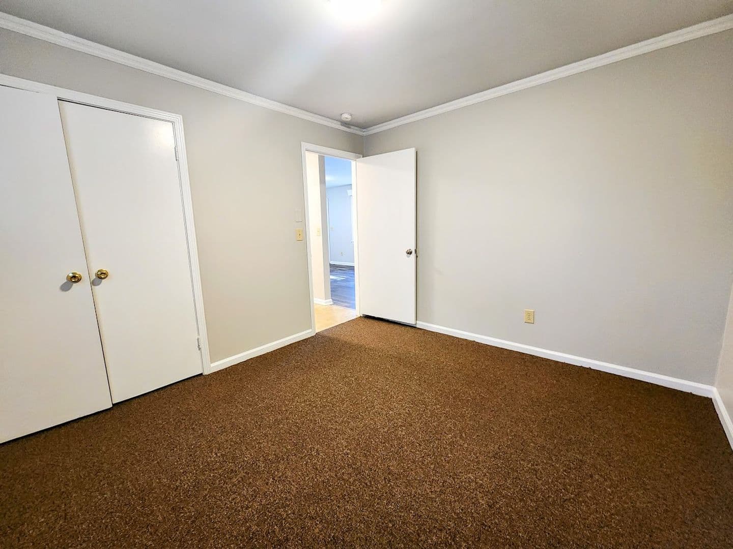 Pelzer Apartment: 6 Hoyt Street