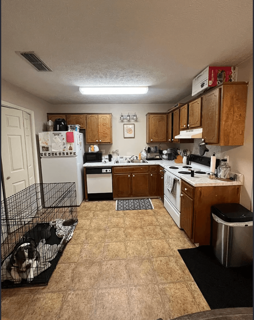 Starkville Apartment: 904 N Montgomery St