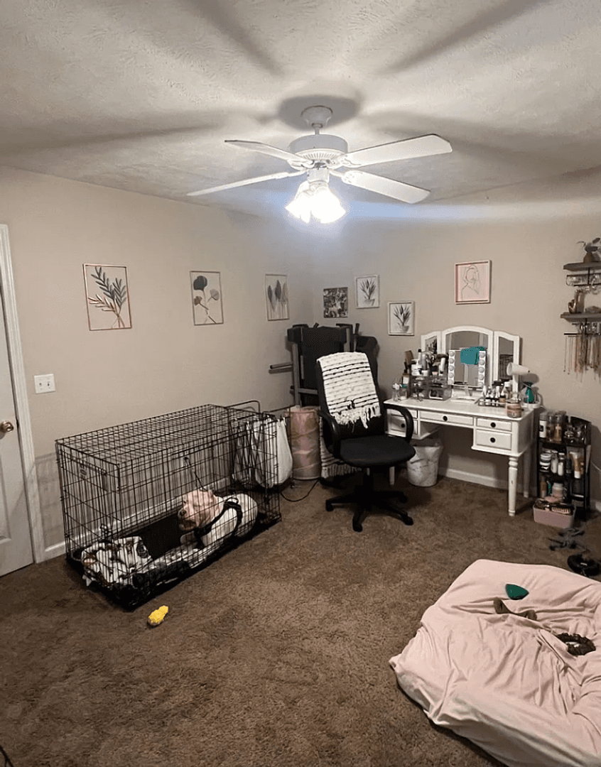 Starkville Apartment: 904 N Montgomery St