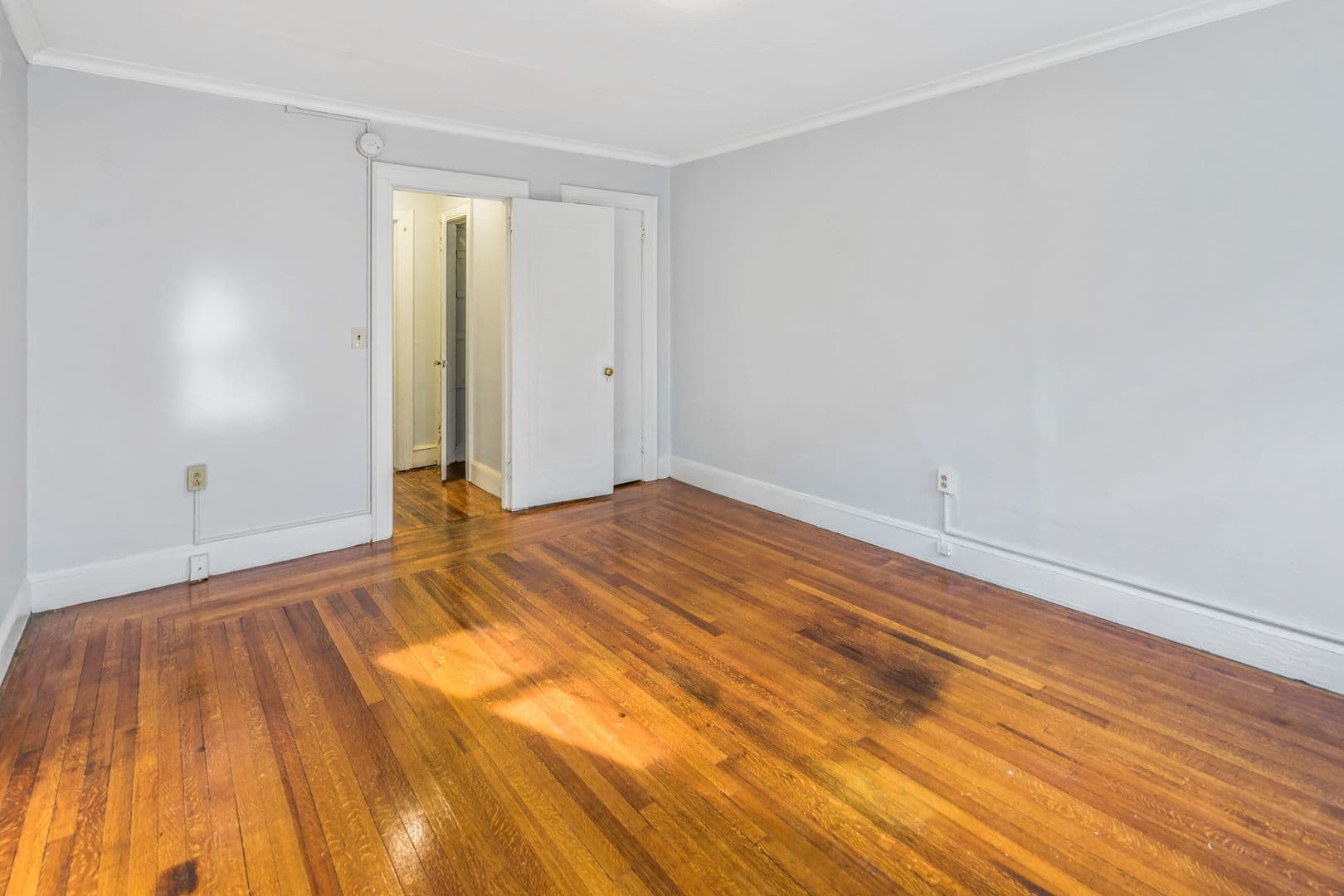New Haven Apartment: 226 Ellsworth Avenue