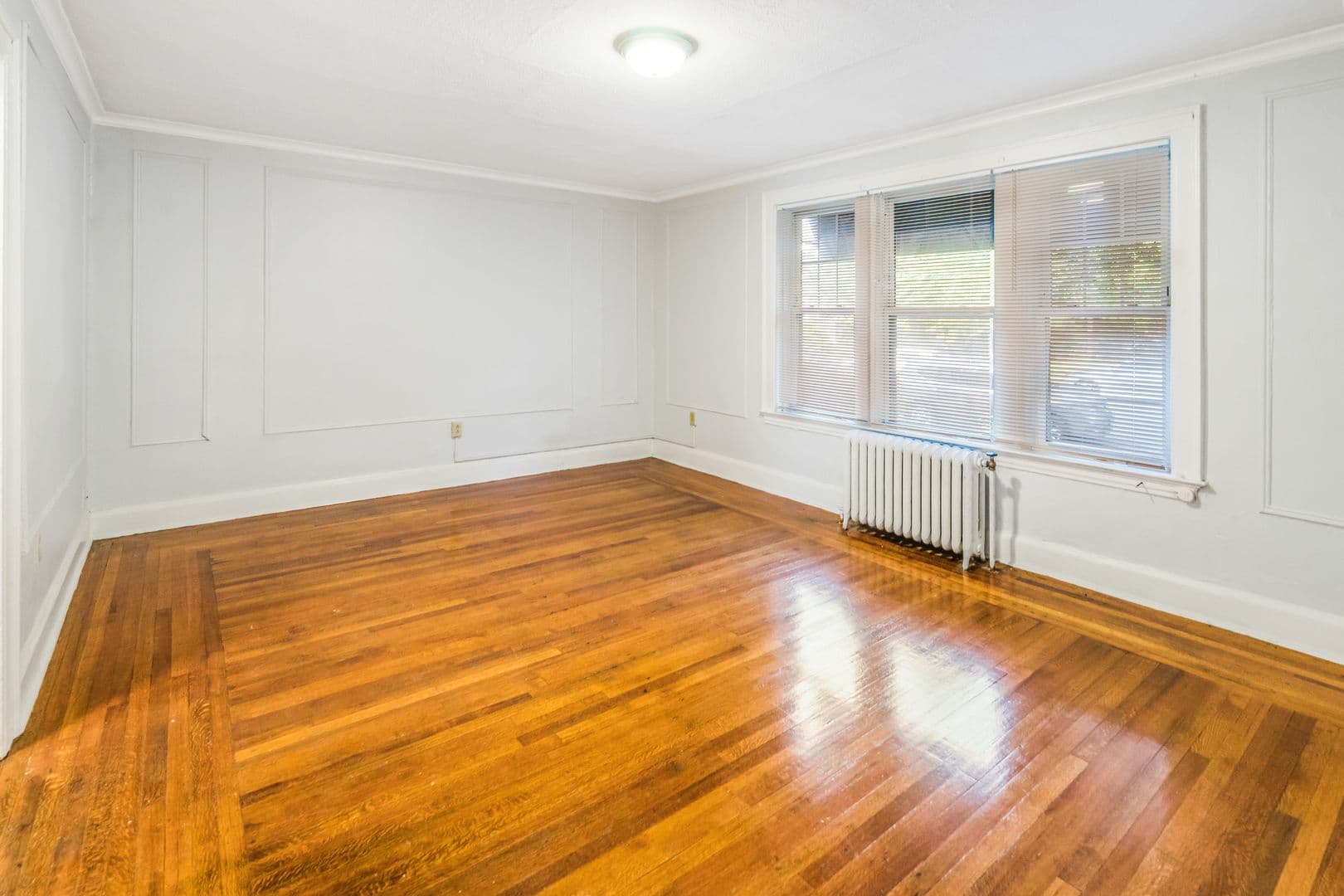 New Haven Apartment: 226 Ellsworth Avenue