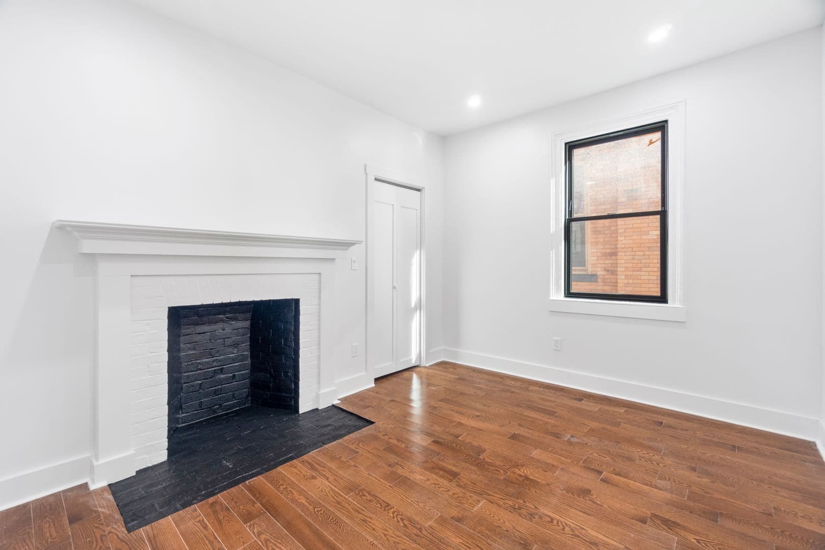 New Haven Apartment: 54 Trumbull Street