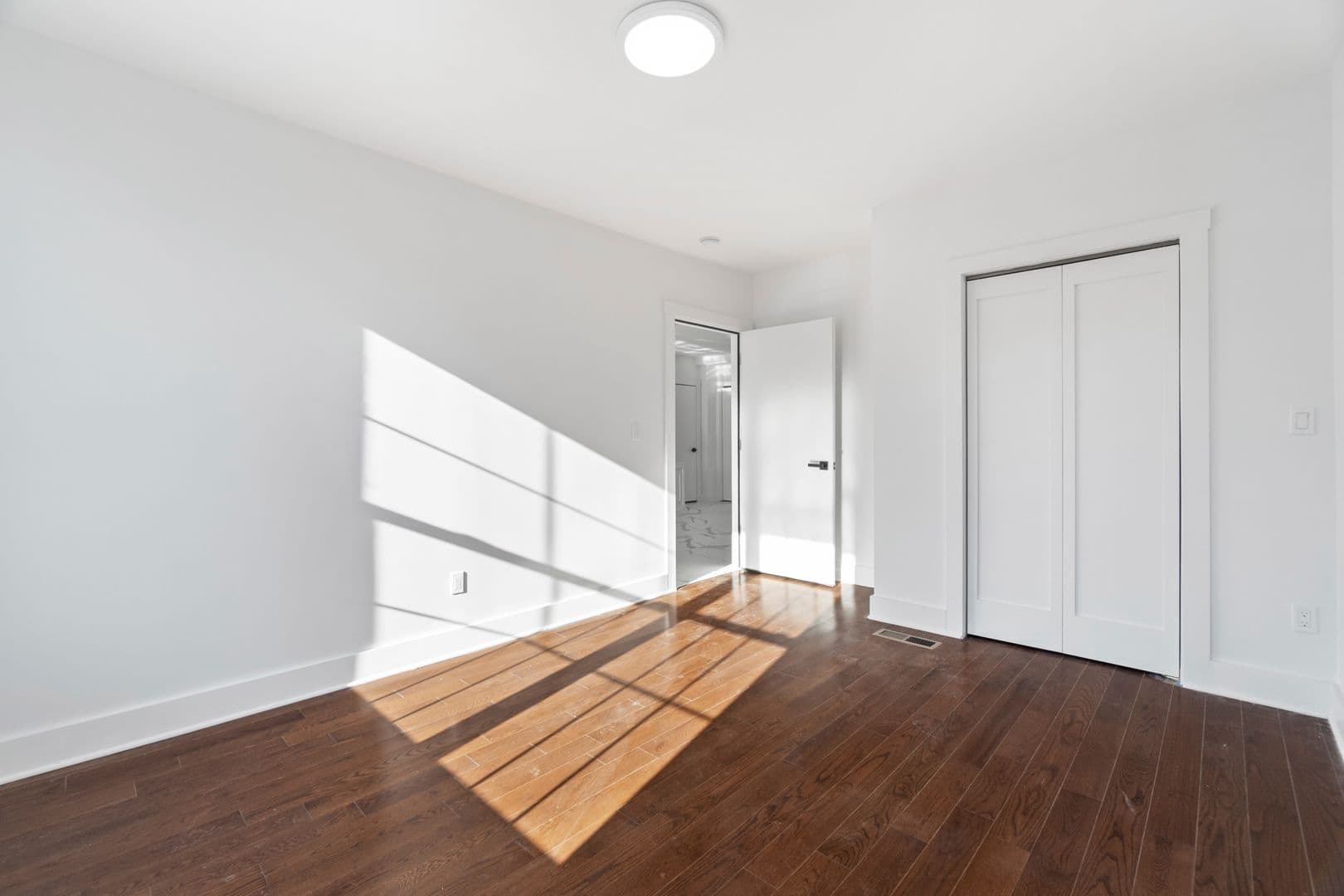 New Haven Apartment: 54 Trumbull Street