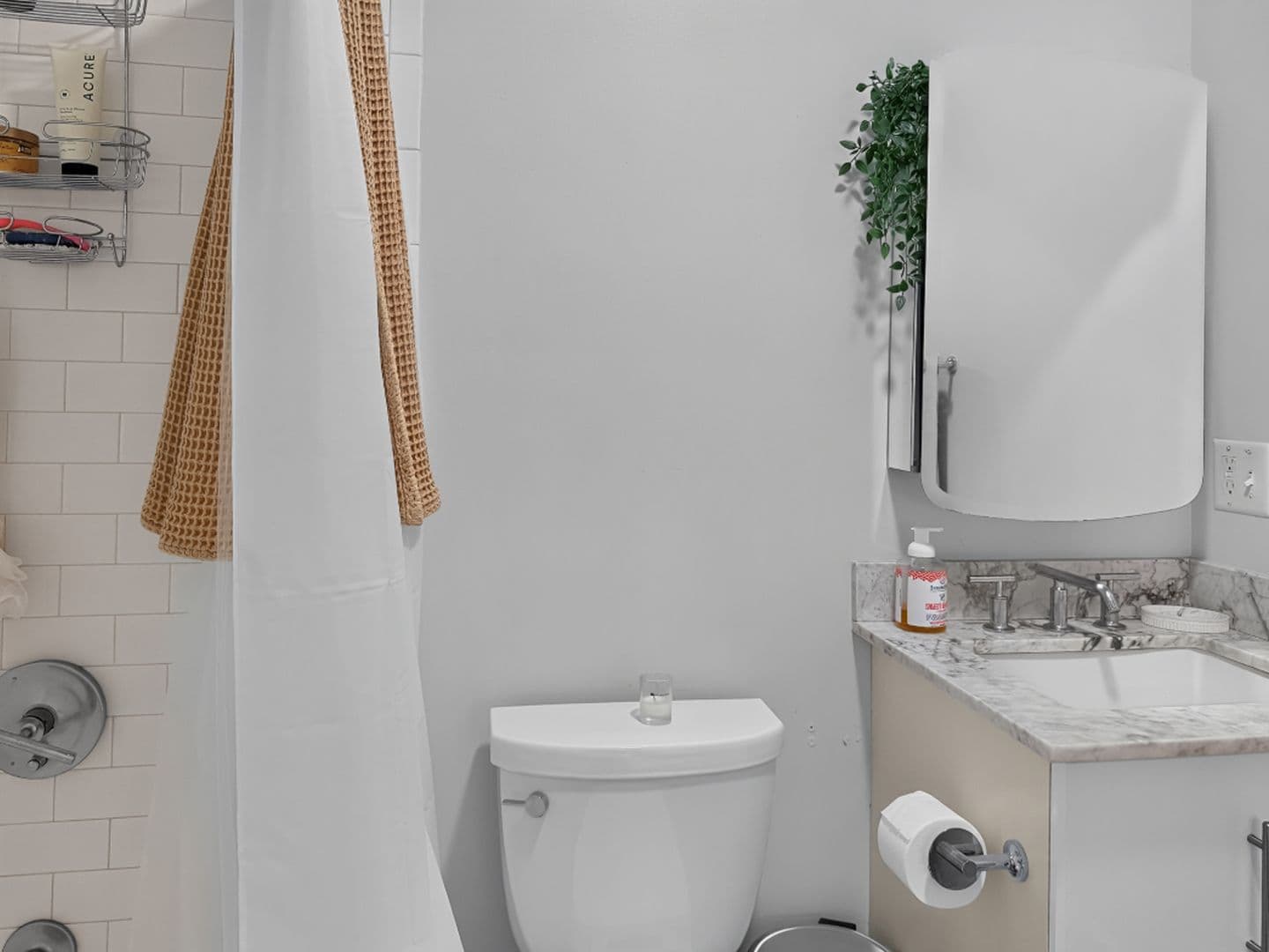 New Haven Apartment: 140 Orange Street