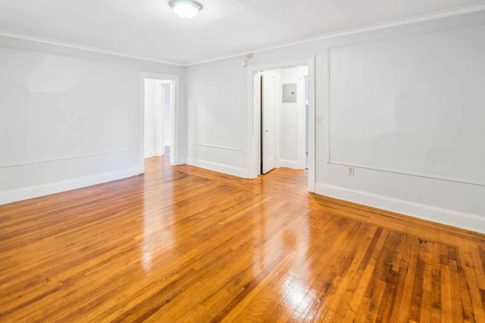 New Haven Apartment: 226 Ellsworth Avenue