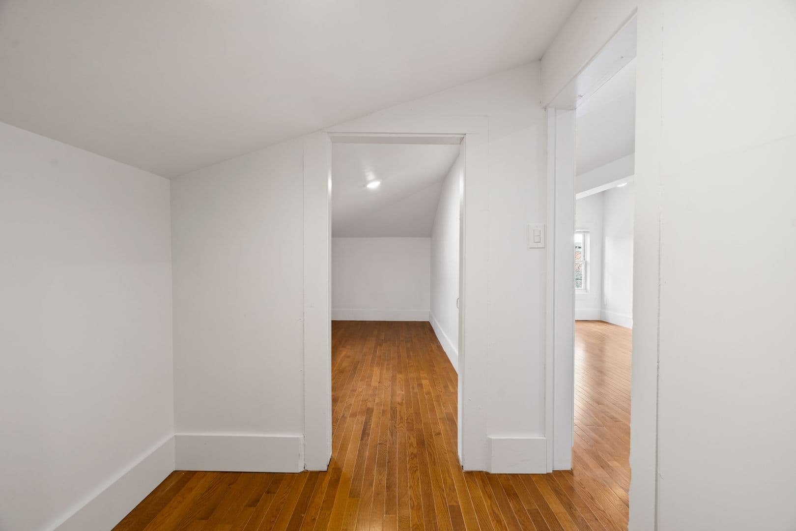 New Haven Apartment: 455 George Street