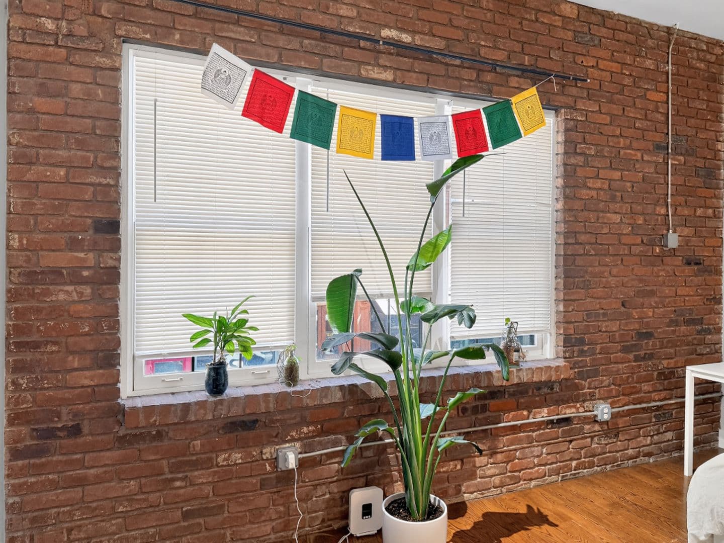 New Haven Apartment: 140 Orange Street