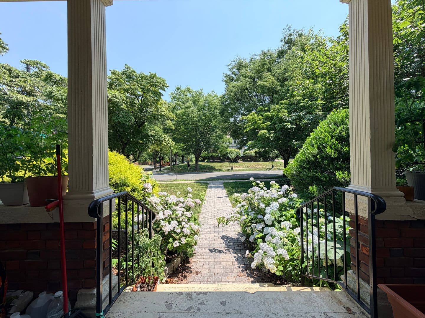 New Haven Apartment: 682 Prospect Street