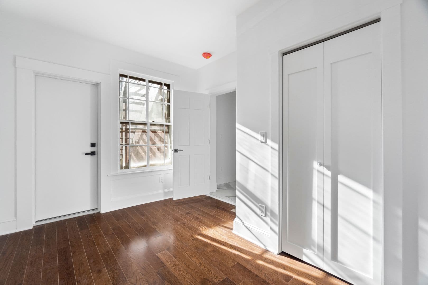 New Haven Apartment: 54 Trumbull Street