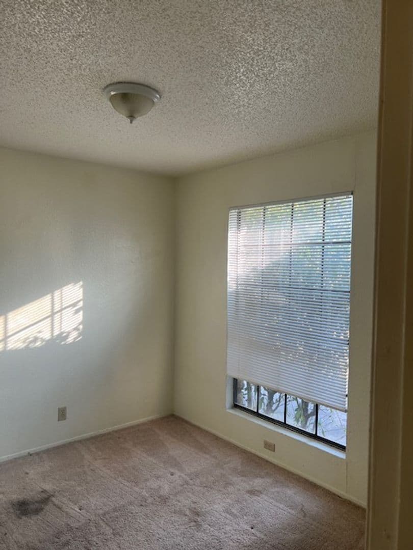 Georgetown Apartment: 112 Verna Spur