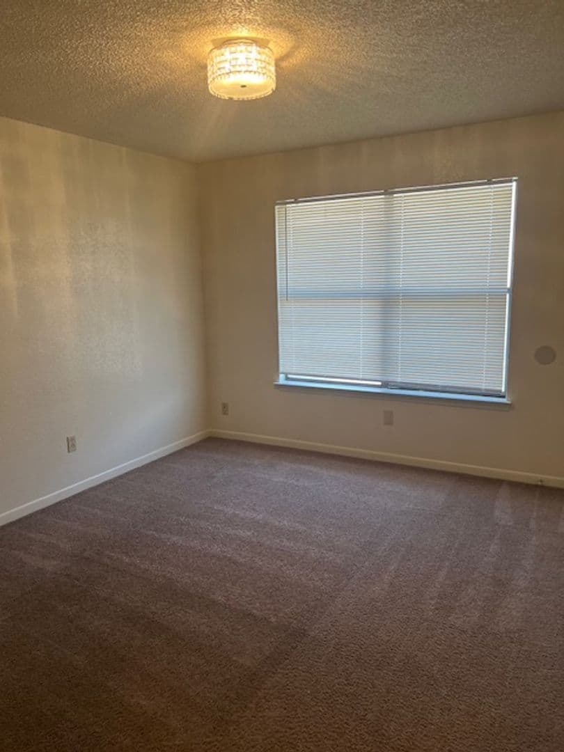 Georgetown Apartment: 310 Tamara Drive