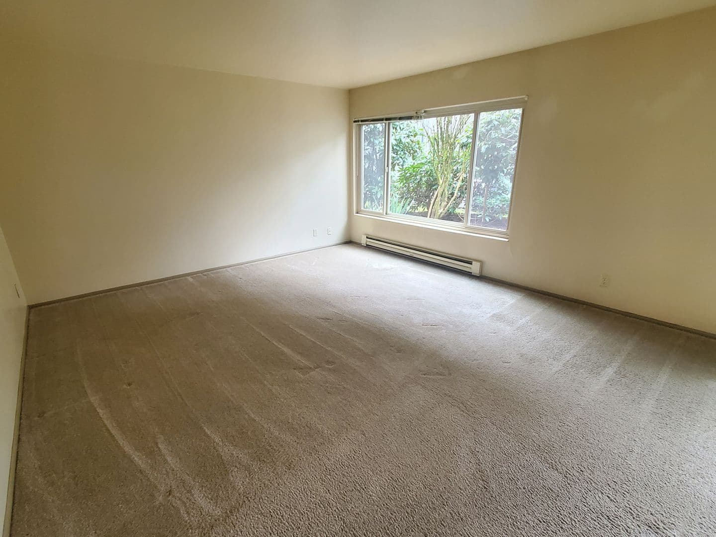 Seattle Apartment: 5512 15th Ave NE