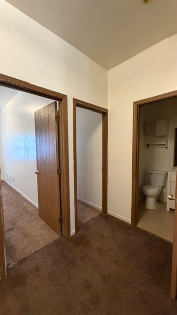 DeKalb Apartment: 528 College Ave