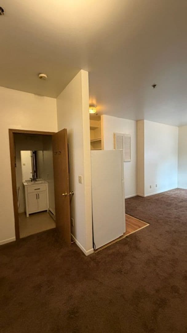 DeKalb Apartment: 528 College Ave