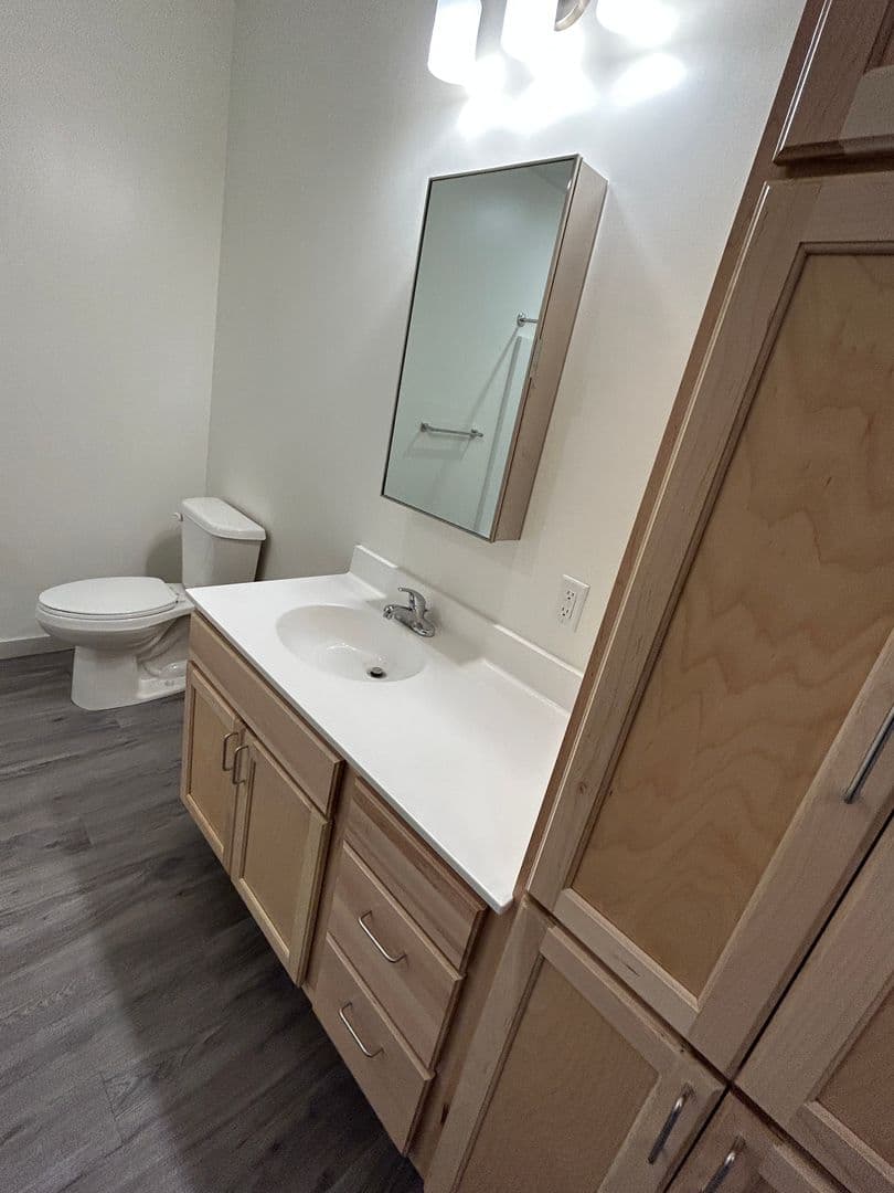 Le Sueur Apartment: 101 Main Street South