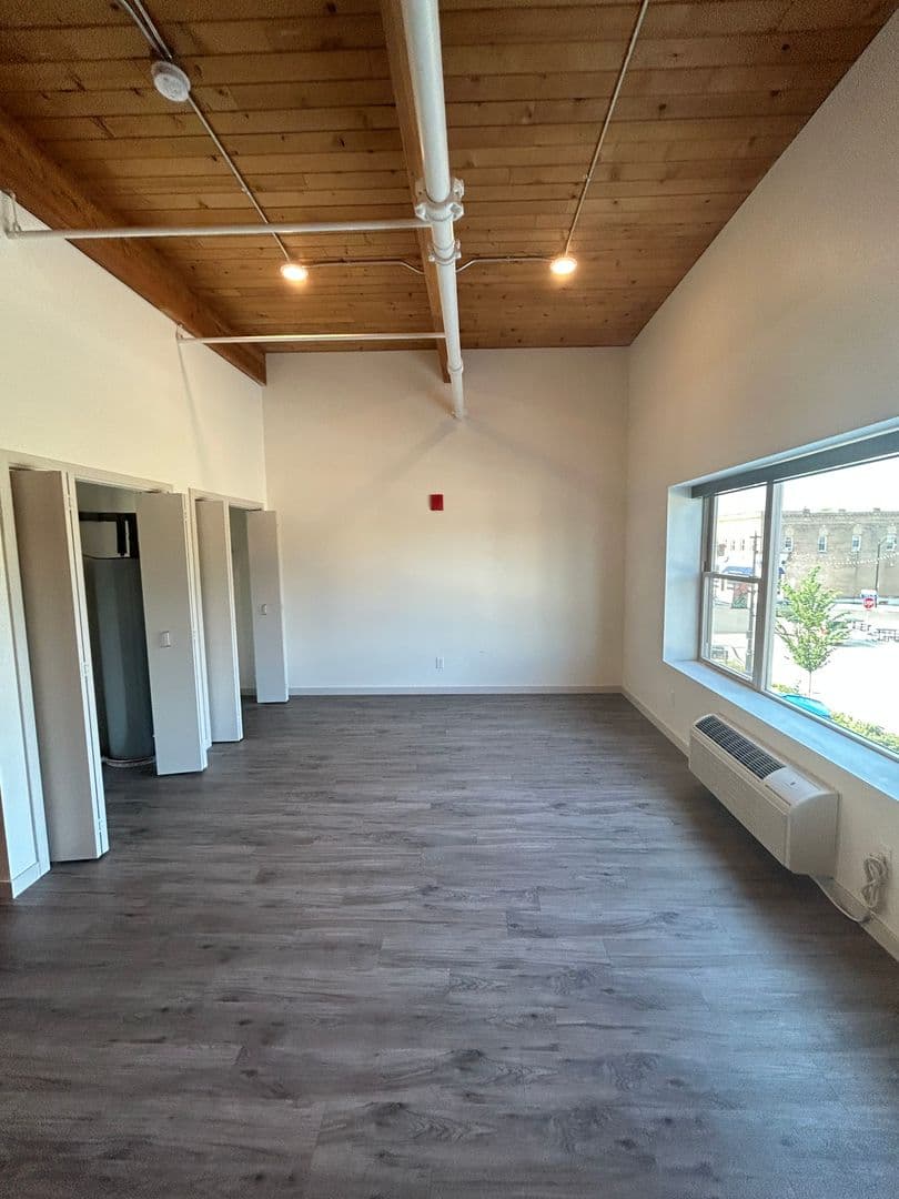 Le Sueur Apartment: 101 Main Street South