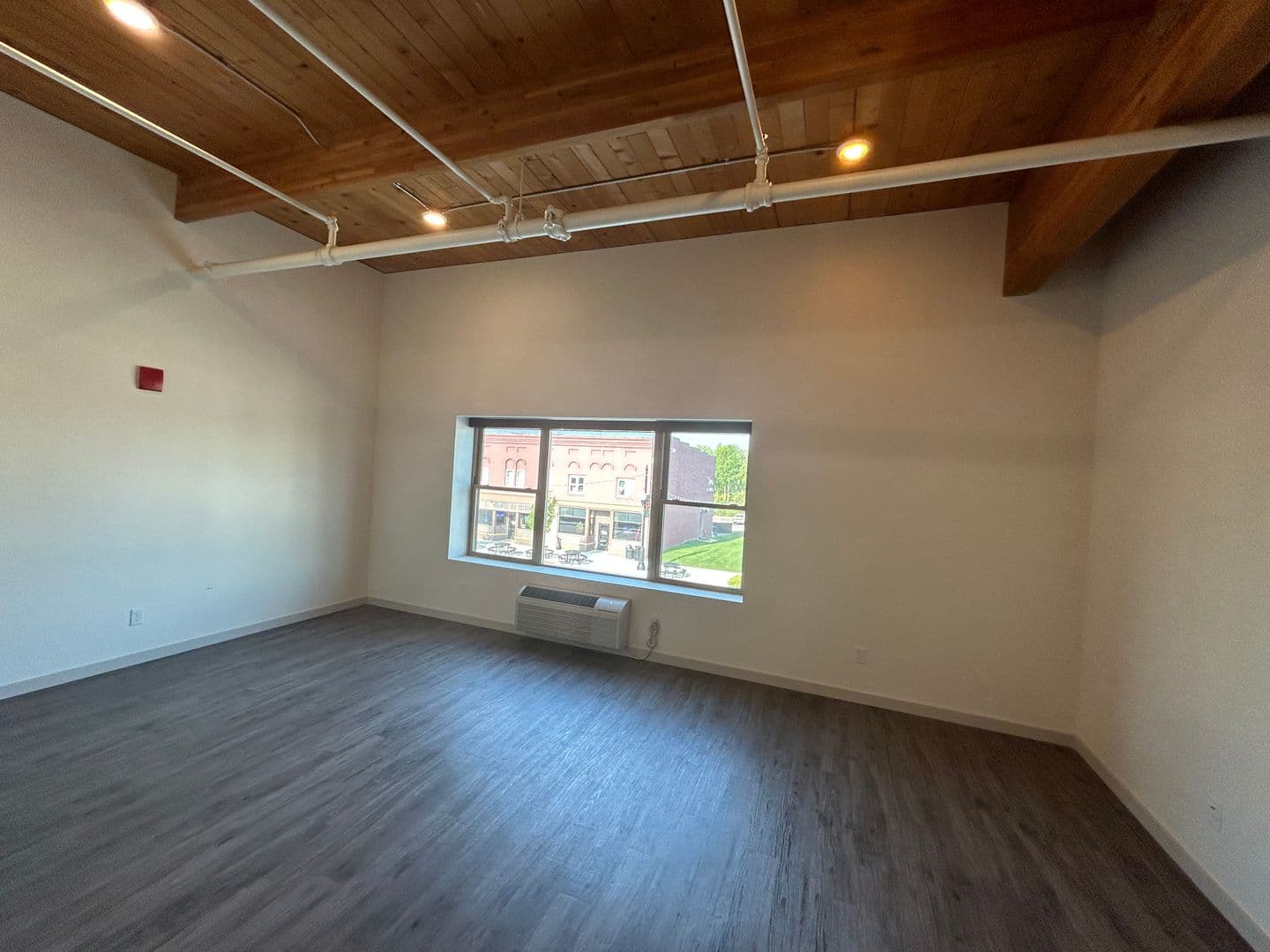 Le Sueur Apartment: 101 Main Street South