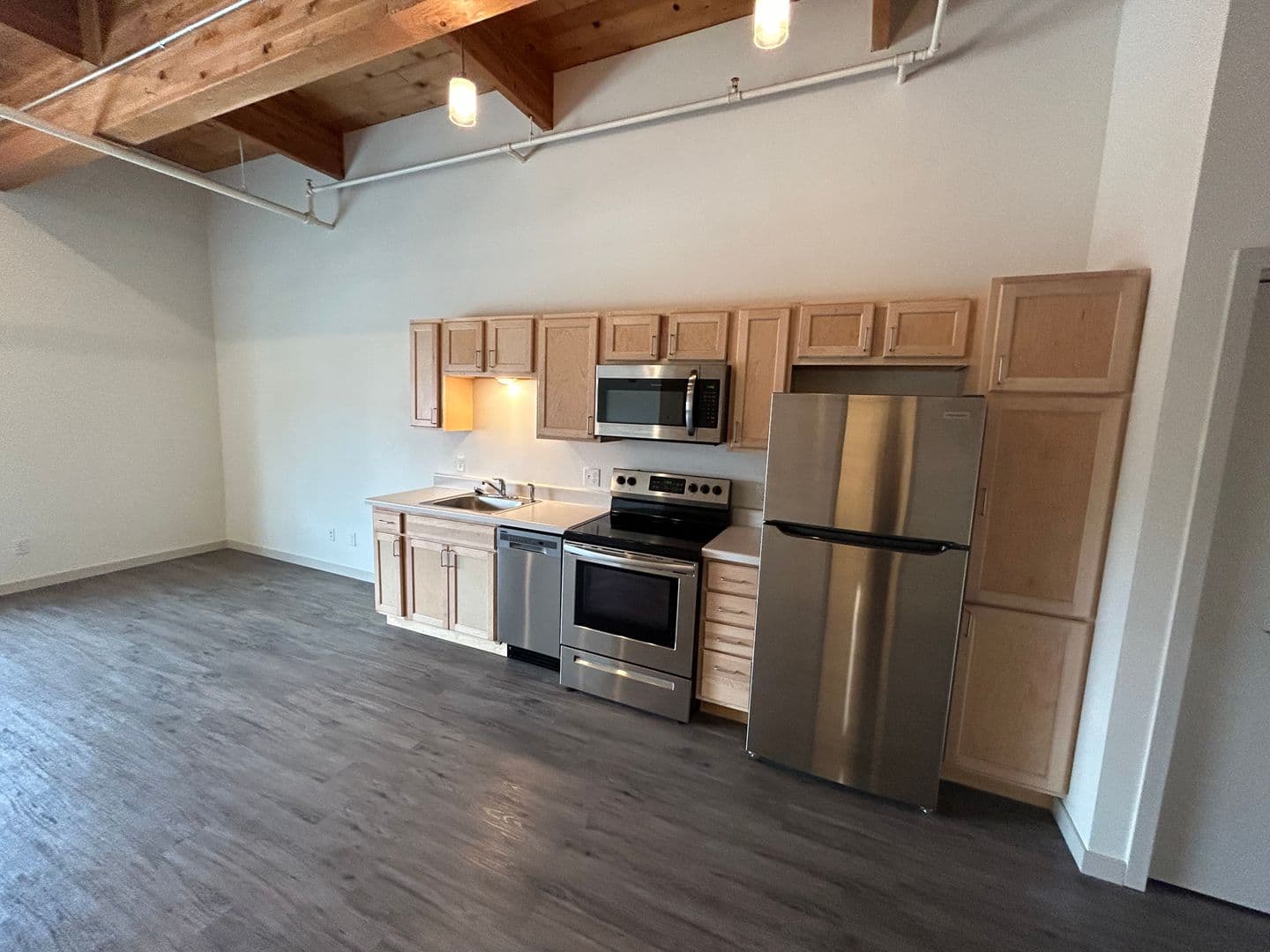 Le Sueur Apartment: 101 Main Street South