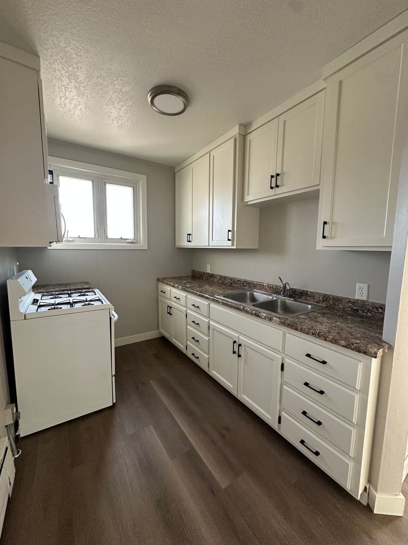Saint Peter Apartment: 215-217 S Minnesota Avenue