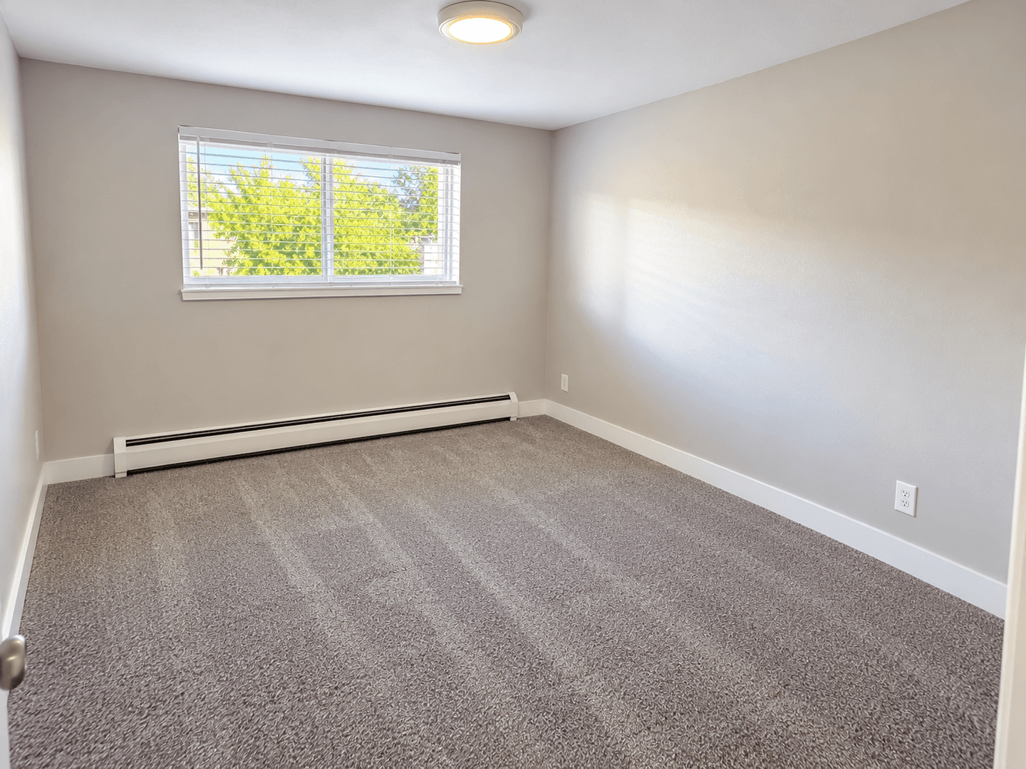 Lakewood Apartment: 725 Moore St