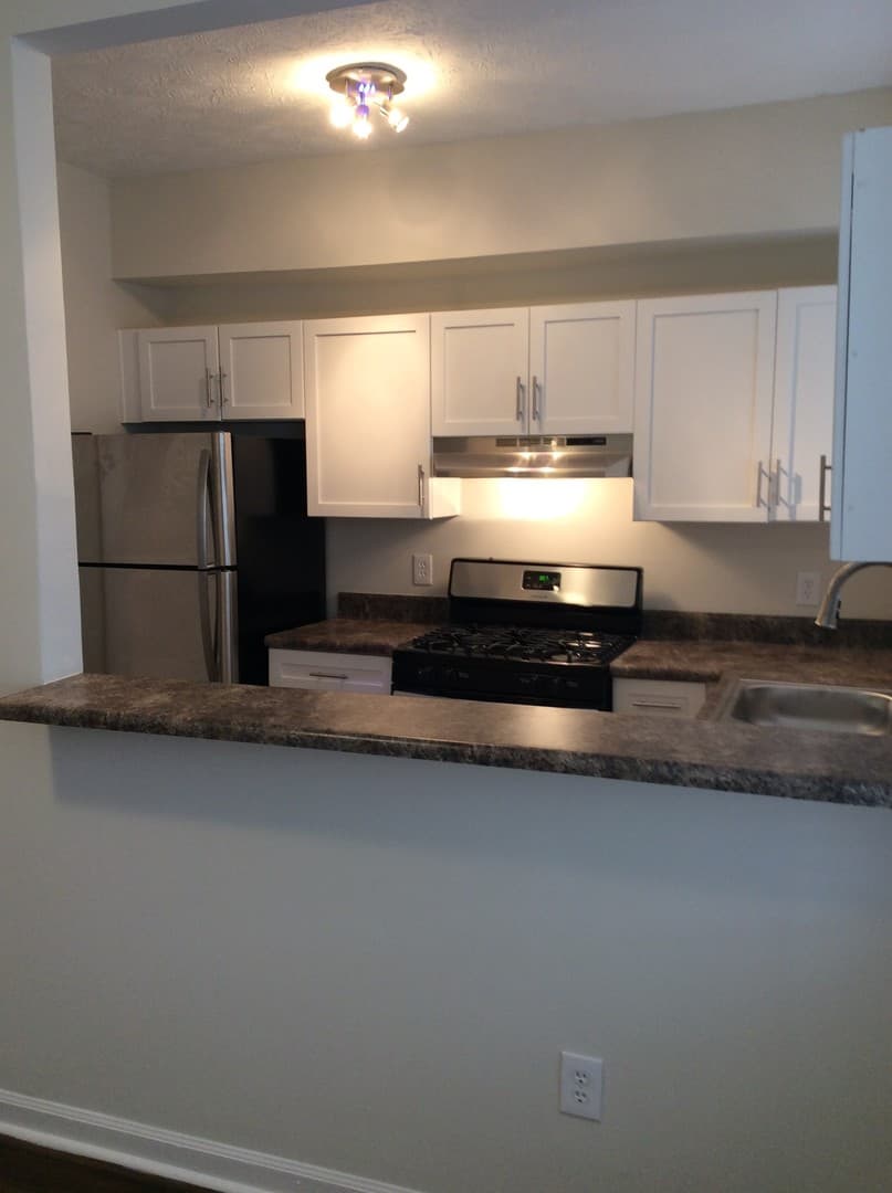 Atlanta Apartment: 565 Langhorn St