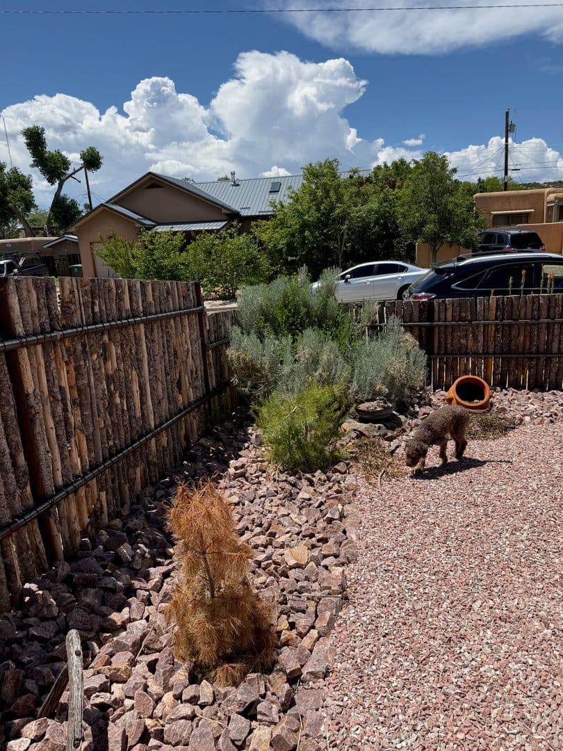 Santa Fe House: 1609 Caminito Monica