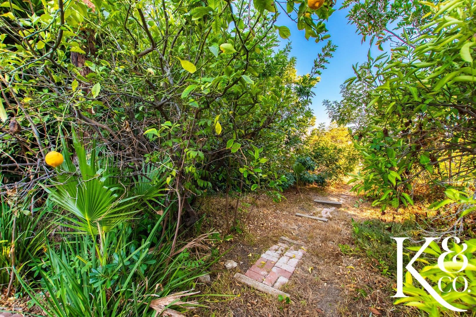 Thousand Oaks House: 2320 Aldrich Circle