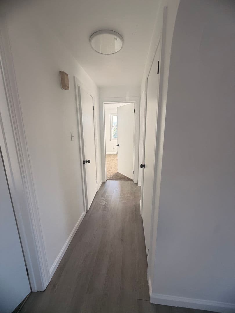 Arnold Apartment: 1941 Woodmont Avenue
