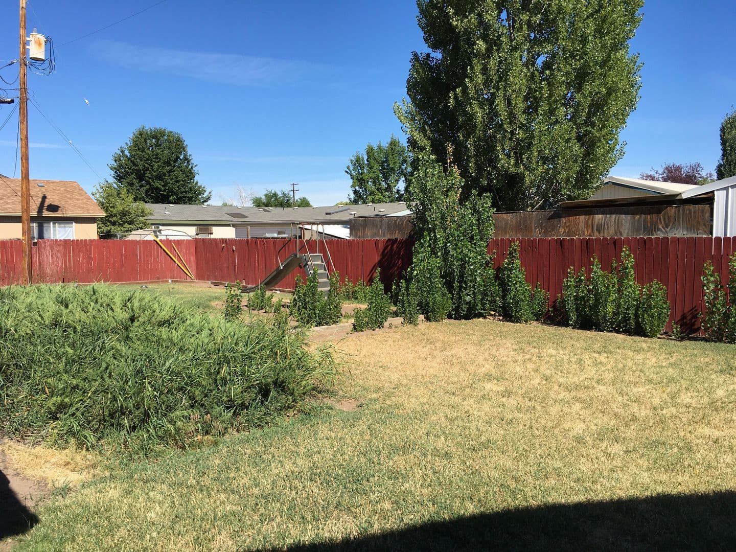 Redmond Apartment: 319 NW Greenwood Avenue