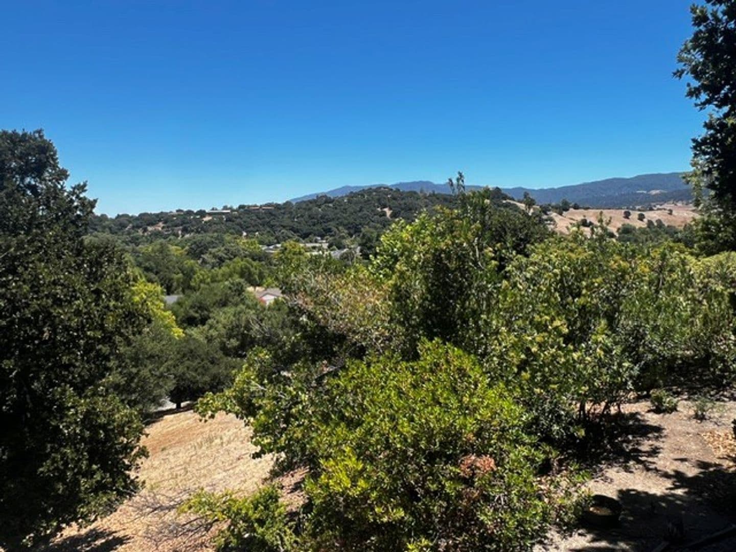 Solvang House: 736 Hillside Drive