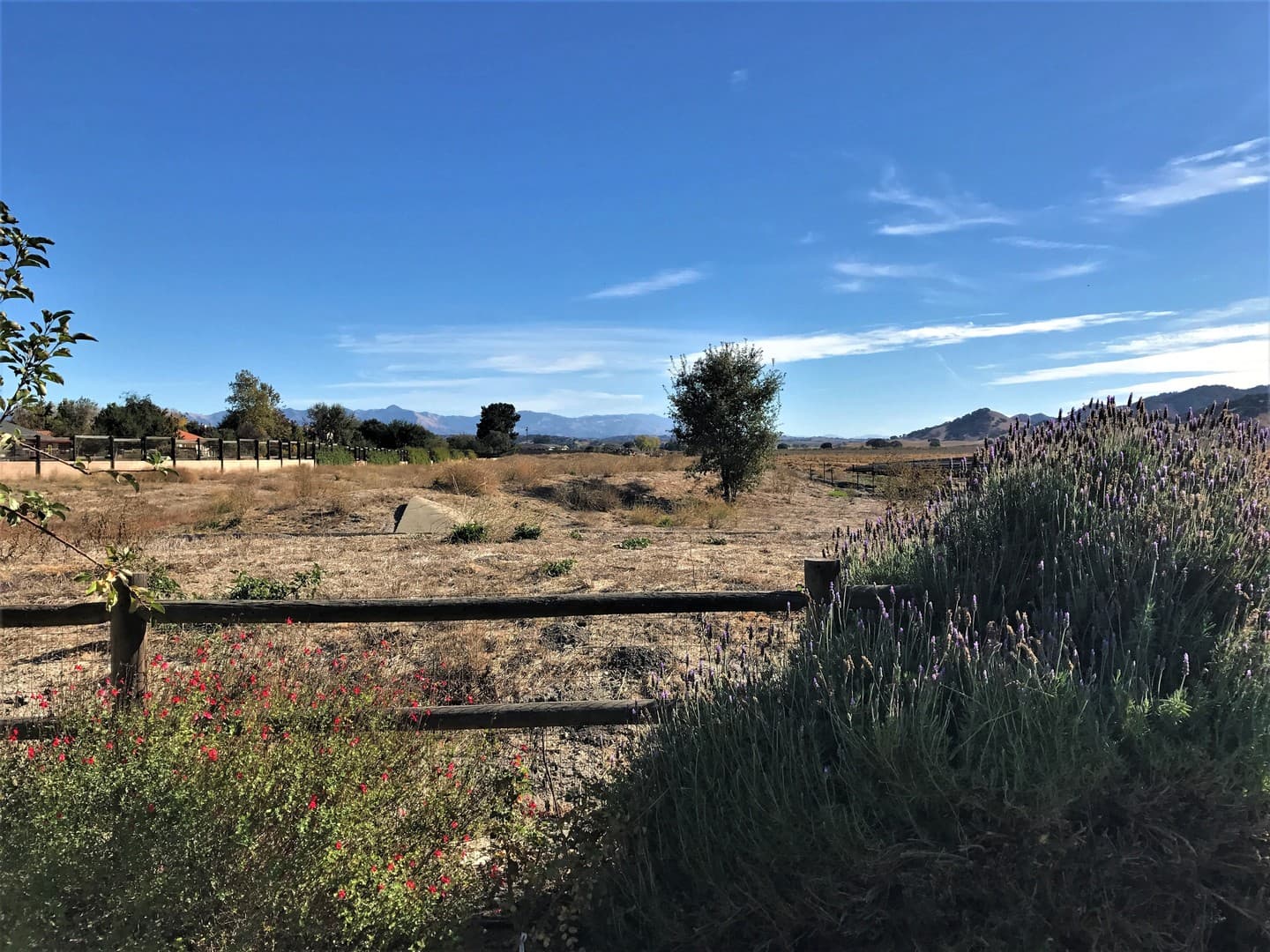 Los Alamos House: 588 Foxen Lane