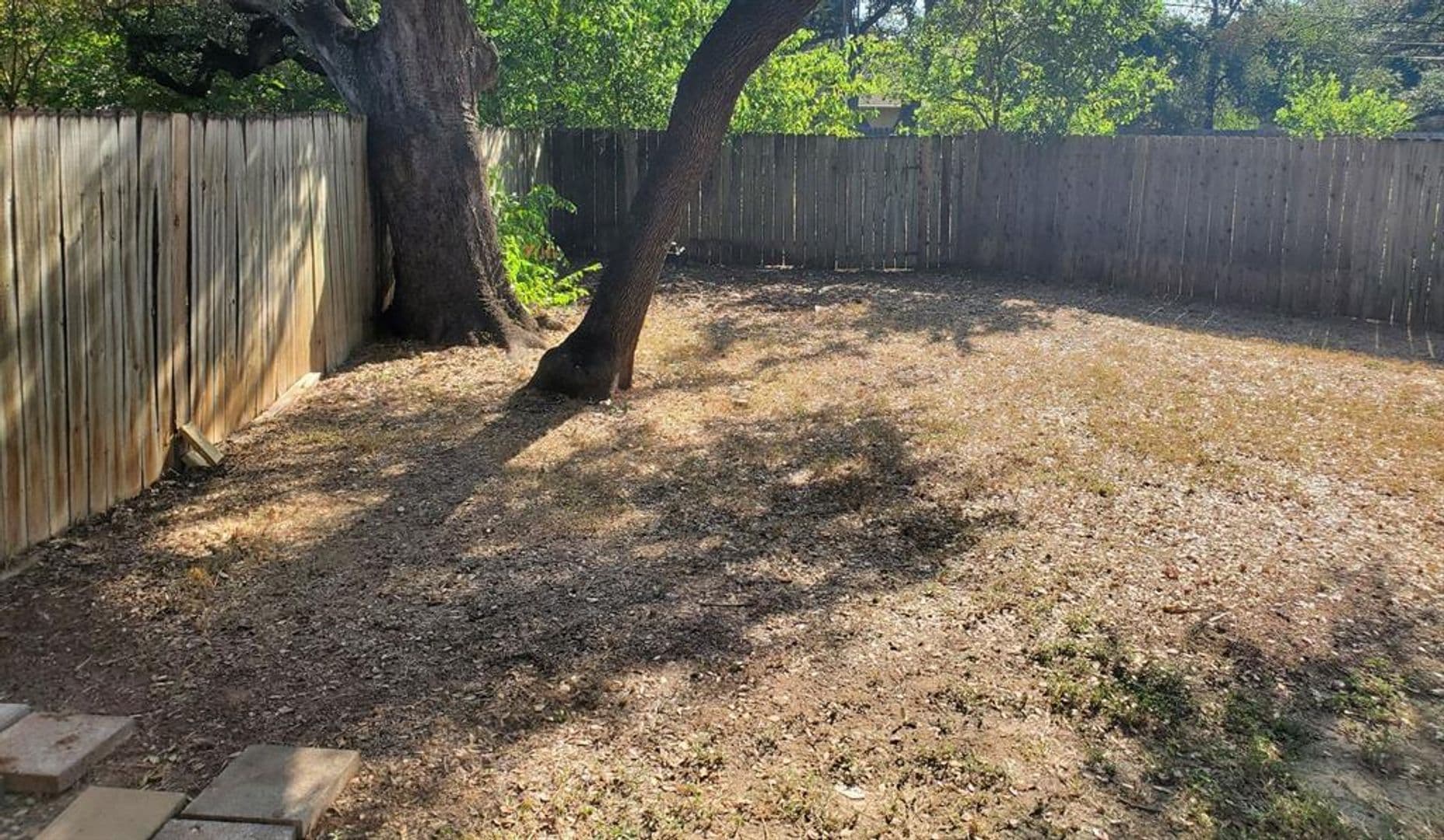 Austin Apartment: 8716 Clearbrook Trail