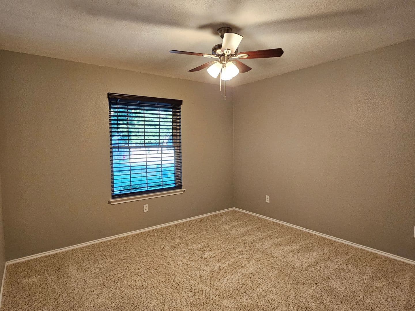 Round Rock House: 3932 Haleys Way