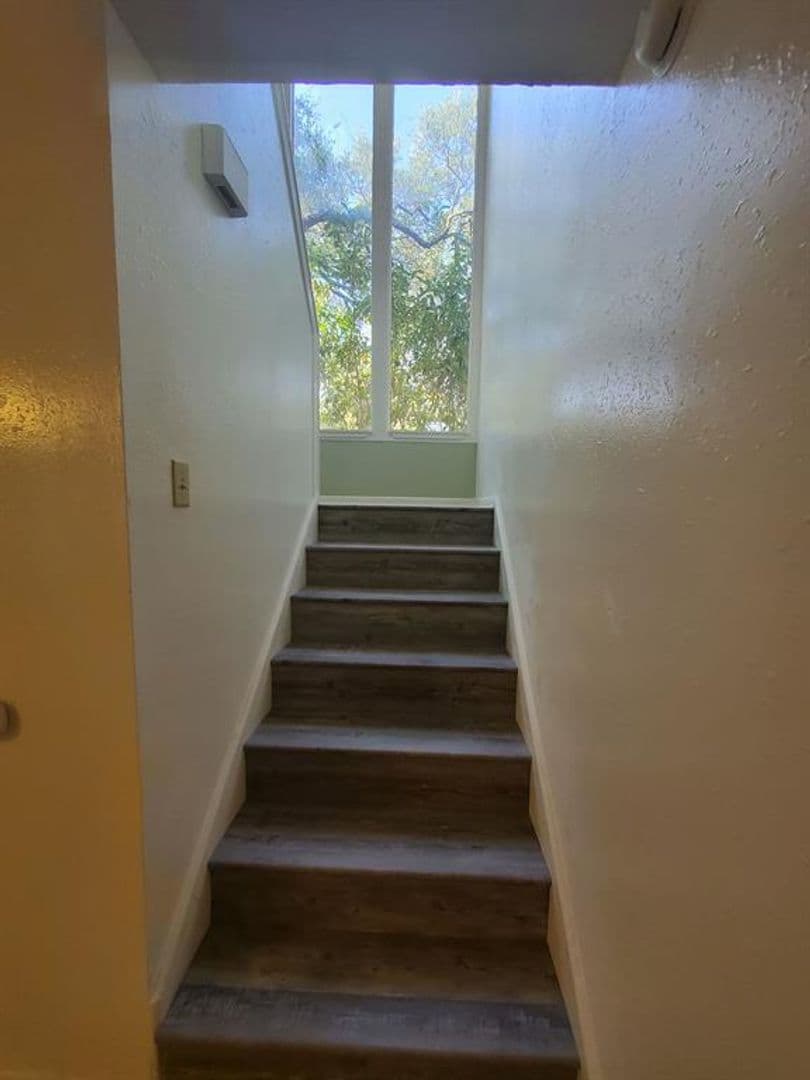 Austin Apartment: 8716 Clearbrook Trail