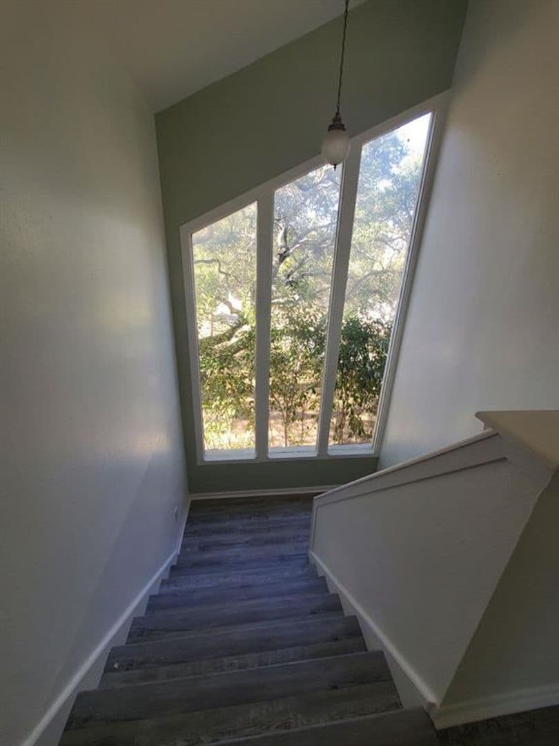Austin Apartment: 8716 Clearbrook Trail