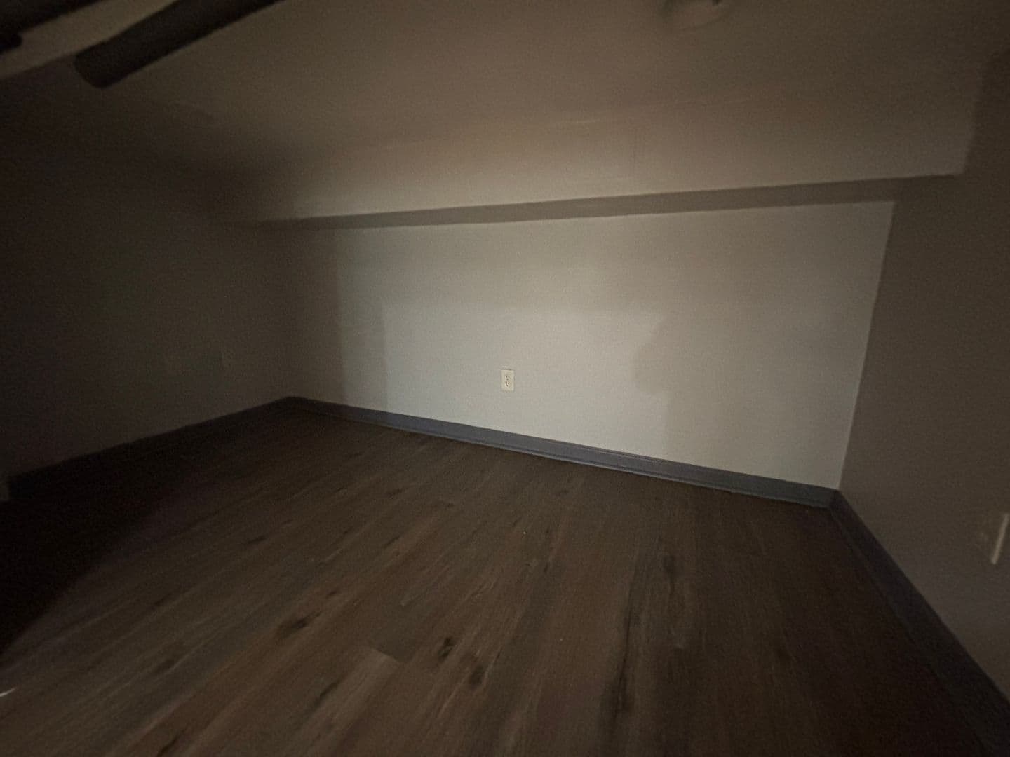 Johnson City Apartment: 163 Ackley Ave