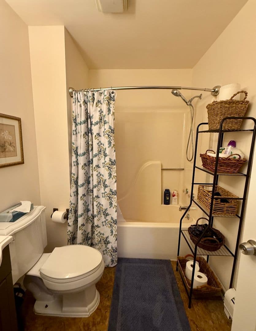 Binghamton Apartment: 138 Court st