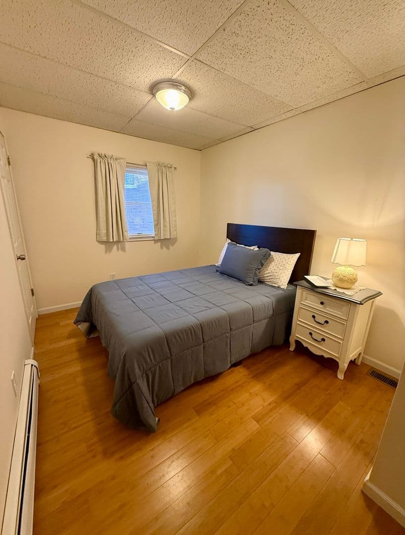 Binghamton Apartment: 138 Court st