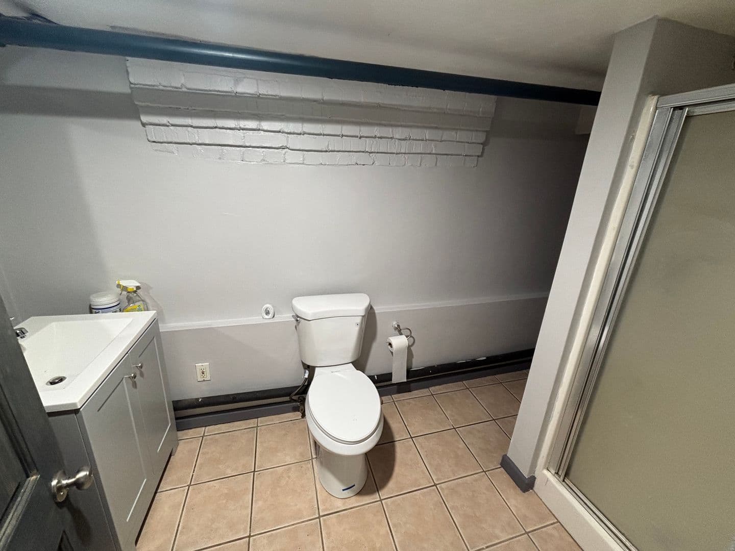 Johnson City Apartment: 163 Ackley Ave