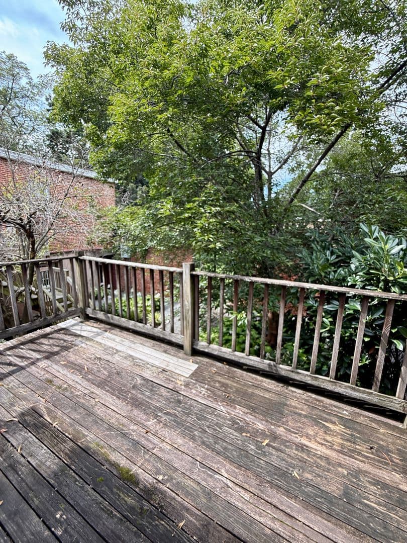 Baltimore Apartment: 506 W Franklin street