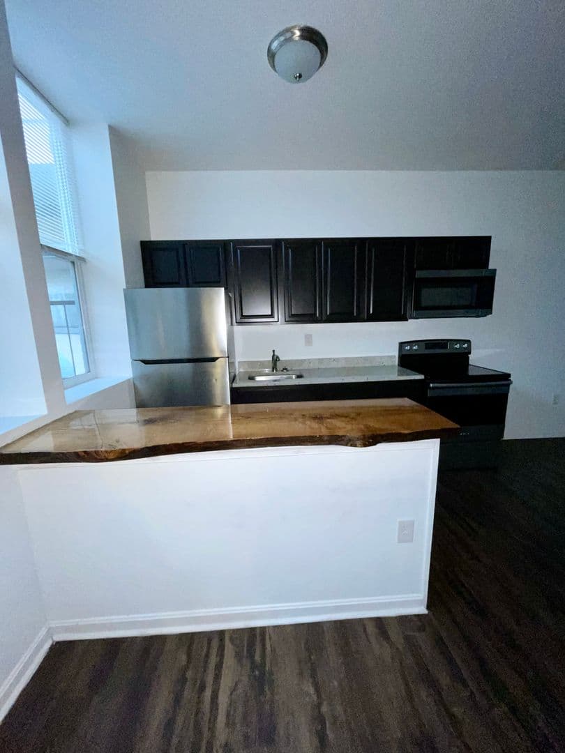 Baltimore Apartment: 11 East Saratoga Street