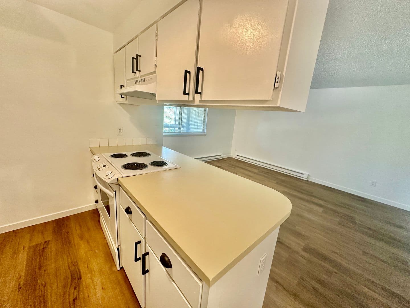 Spokane Apartment: 1036 E Desmet Ave