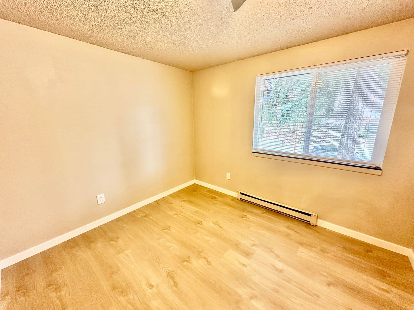 Spokane Apartment: 973 E 8th Ave