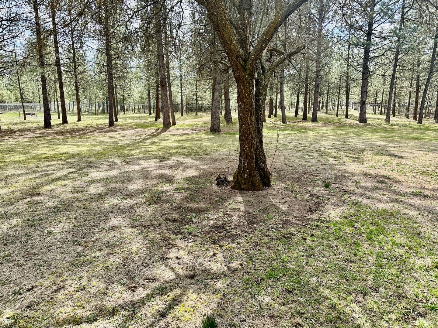 Nine Mile Falls House: 11555 W Tamarac Ln