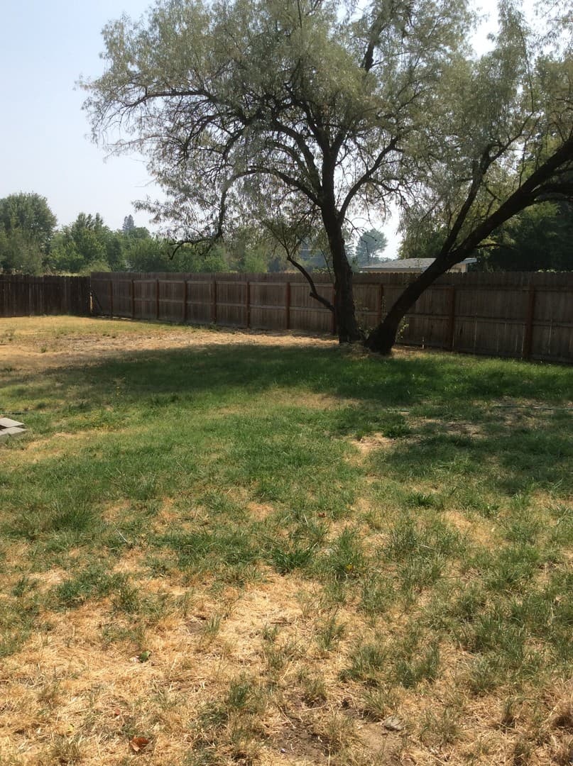 Medford House: 285 Clover Lane