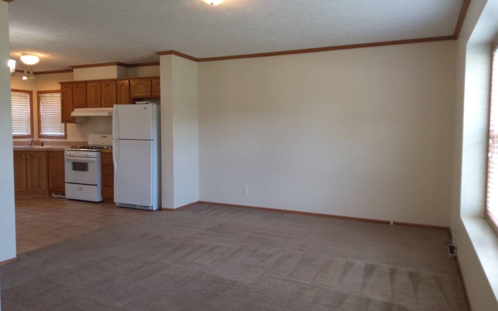 Goshen Apartment: 201 Olive St.