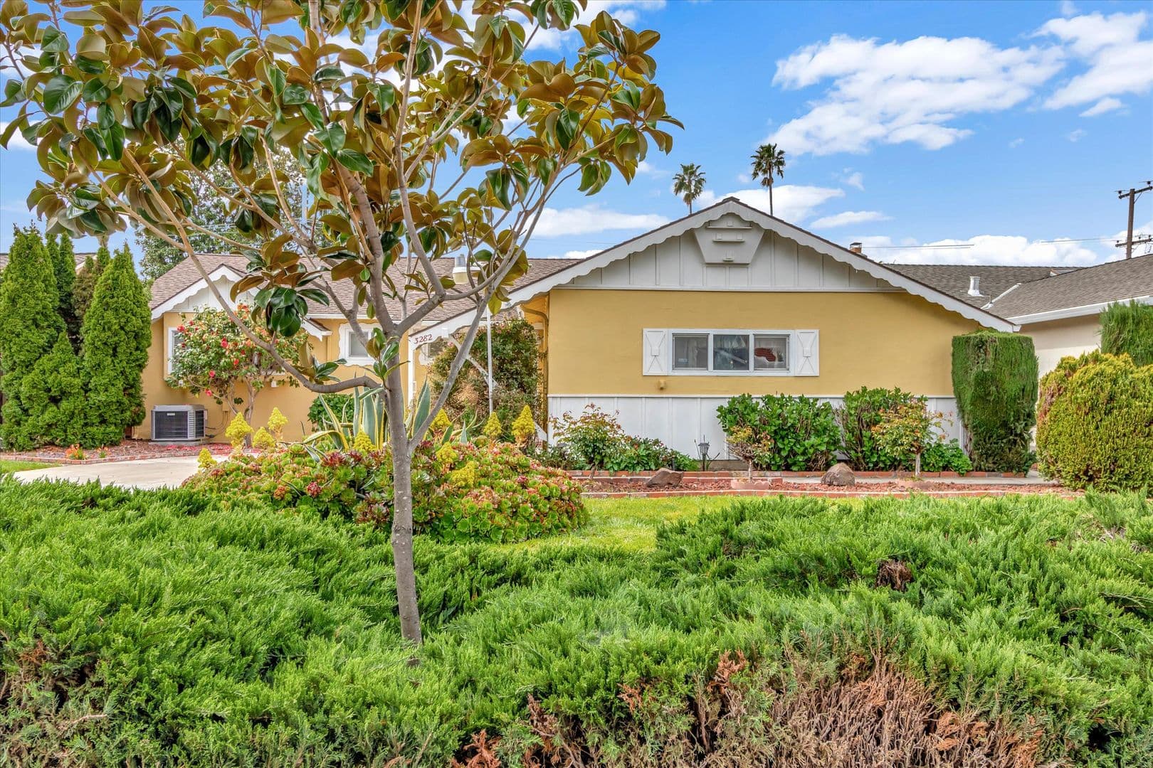 San Jose House: 3282 Lindenoaks Dr