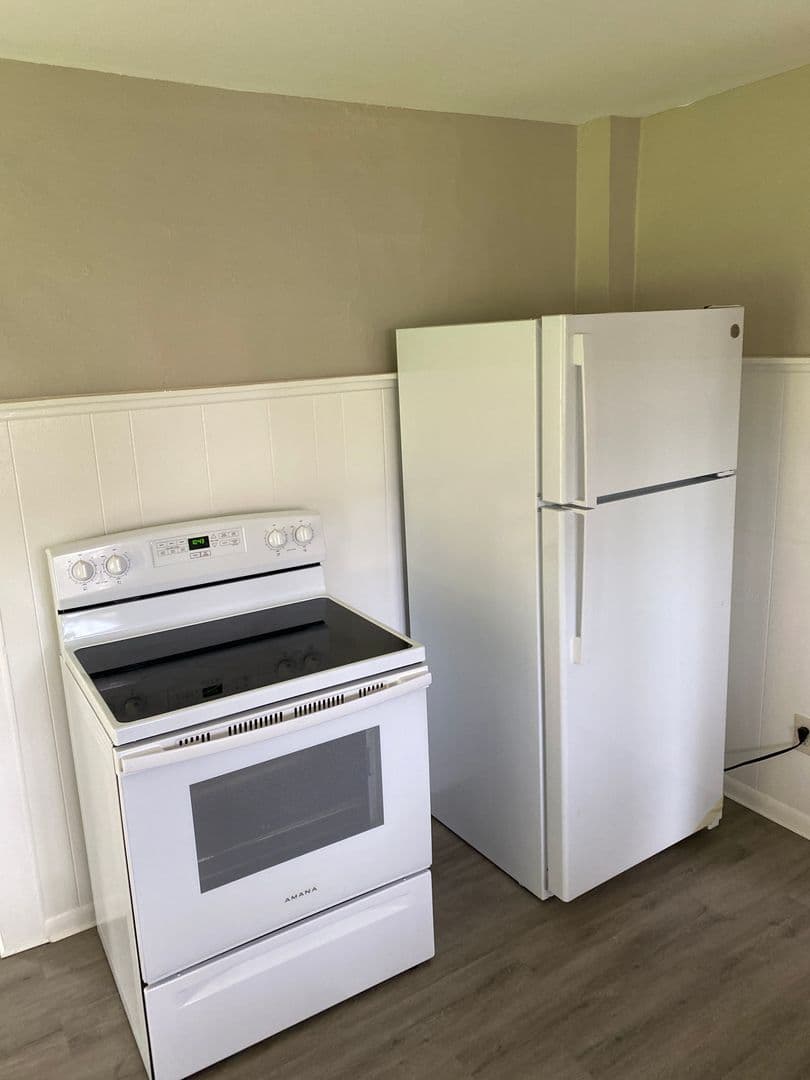Olyphant Apartment: 215 Mary Street